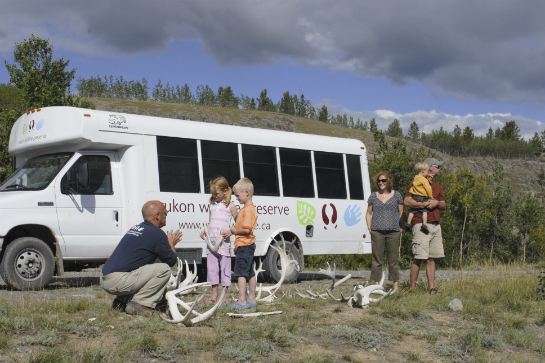 育空野生動物保護區