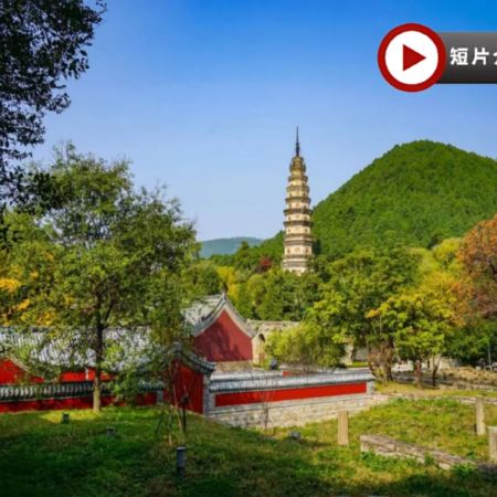 【4鑽】【國泰航空】山東(青島、泰安、濟南、濰坊)5天純玩團 青島(八大關賞銀杏、啤酒博物館)、泰安(五嶽之首~泰山)、濟南(靈岩寺賞銀杏)、濰坊(青州古城)