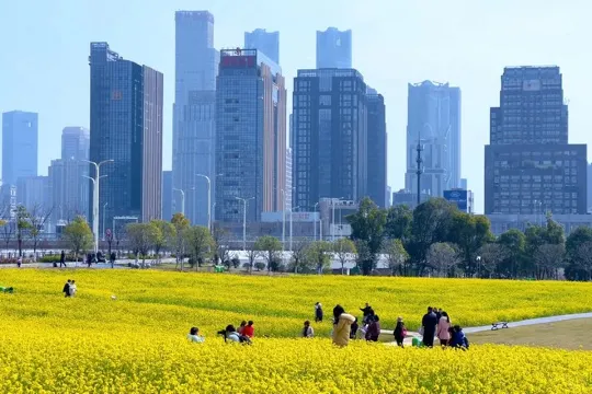 馬蘭圩花海公園