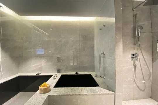 日月潭力麗溫德姆溫泉酒店