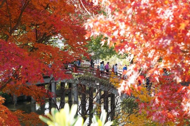 太宰府～天滿宮