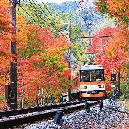 京阪神、和歌山 6天親子樂園之旅   日本環球影城、海の京都(天橋立、飛龍觀展望台、伊根灣賞景遊)、紀三井寺、「世界文化遺產」平等院