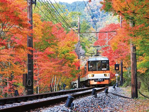 京阪神、和歌山 6天親子樂園之旅 日本環球影城、海の京都(天橋立、飛龍觀展望台、伊根灣賞景遊)、紀三井寺、「世界文化遺產」平等院 京阪神、和歌山 6天親子樂園之旅 日本環球影城、海の京都(天橋立、飛龍觀展望台、伊根灣賞景遊)、紀三井寺、「世界文化遺產」平等院