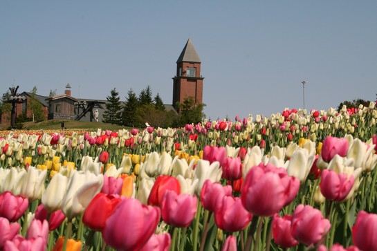 國營瀧野鈴蘭丘陵公園
