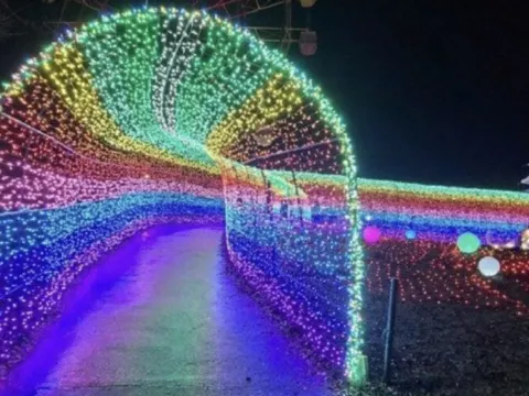 東京德國村(冬季彩燈節illumination)
