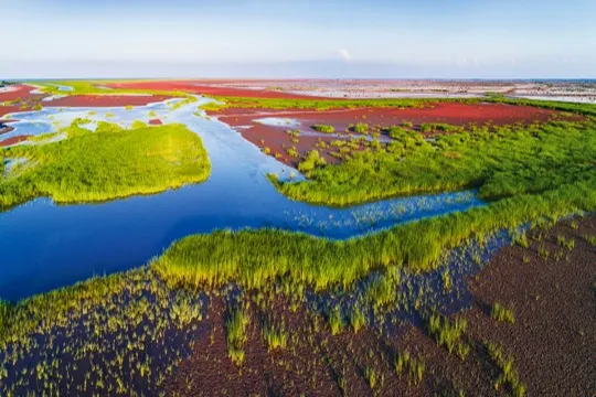 黃河口生態旅遊區