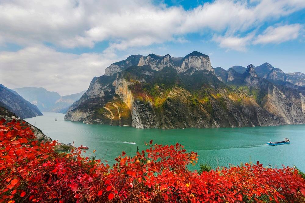 三峽紅葉