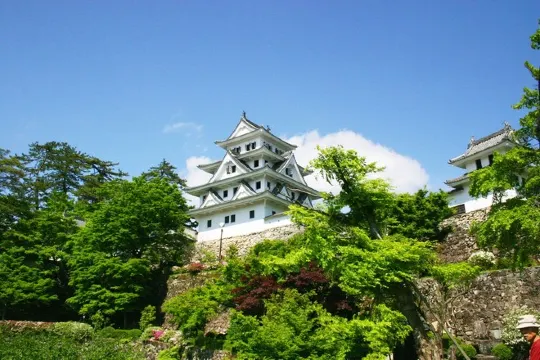 郡上八幡城@官網