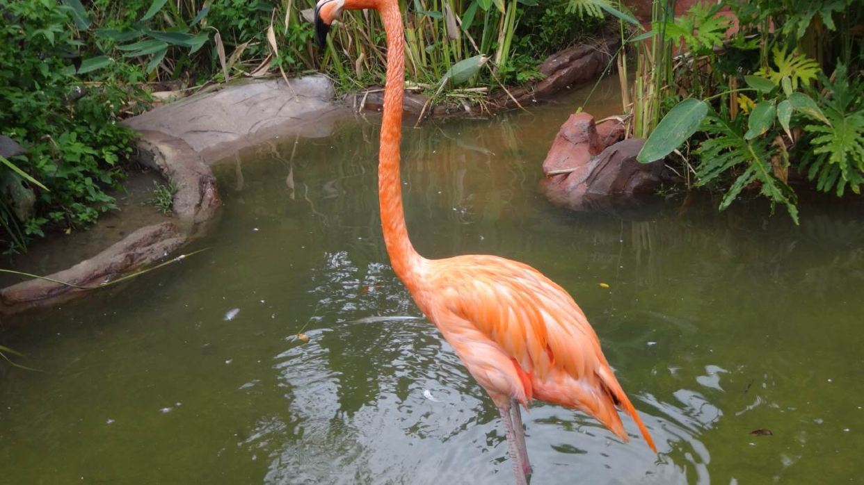 長鹿休閒度假農莊