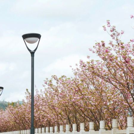 張家界、鳳凰古城、春季賞櫻🌸5天純玩高鐵團  張家界(天門山國家森林公園、天子山、袁家界、百龍電梯、無人機航拍、金鞭溪)、鳳凰古城(沱江泛舟、古城夜遊)、澧水河岸賞櫻《保證廣東話導遊》 