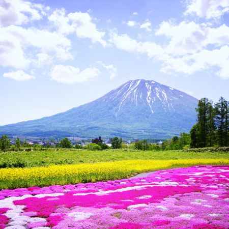 北海道~留壽都 溫泉度假5天春櫻之旅 【尊享香港航空貴賓室】【保證入住2晚 留壽都溫泉度假酒店~盡情享受星空風呂】賞櫻名所(北國優駿公園、莫埃來沼環保公園、北海道神宮)、浪漫小樽運河