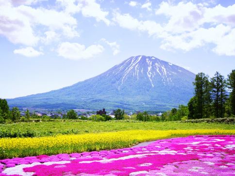 北海道~留壽都 溫泉度假5天春櫻之旅 【尊享香港航空貴賓室】【保證入住2晚 留壽都溫泉度假酒店~盡情享受星空風呂】賞櫻名所(北國優駿公園、莫埃來沼環保公園、北海道神宮)、浪漫小樽運河