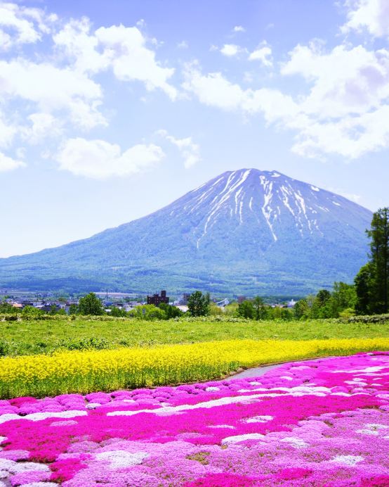 北海道~留壽都 溫泉度假5天春櫻之旅 【尊享香港航空貴賓室】【保證入住2晚 留壽都溫泉度假酒店~盡情享受星空風呂】賞櫻名所(北國優駿公園、莫埃來沼環保公園、北海道神宮)、浪漫小樽運河