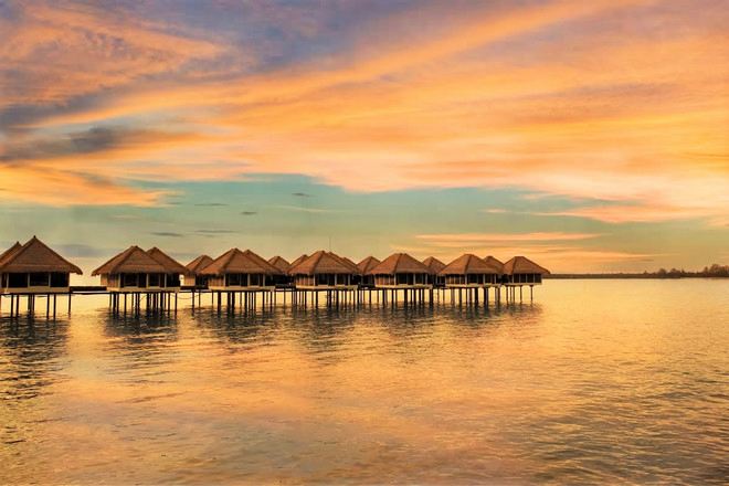 Golden Palm Tree Sepang