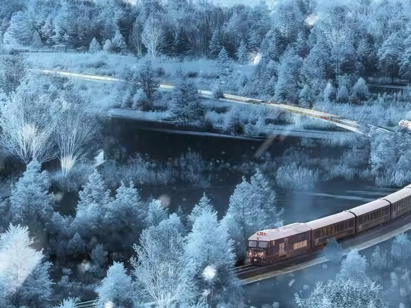 伊春號專列車身,東北線的移動風景 伊春號專列車身,東北線的移動風景