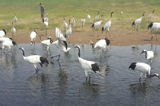 紮龍自然保護區