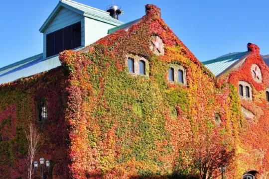 Sapporo Factory 購物城