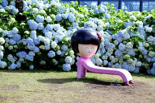 Camelliahill 山茶花之丘