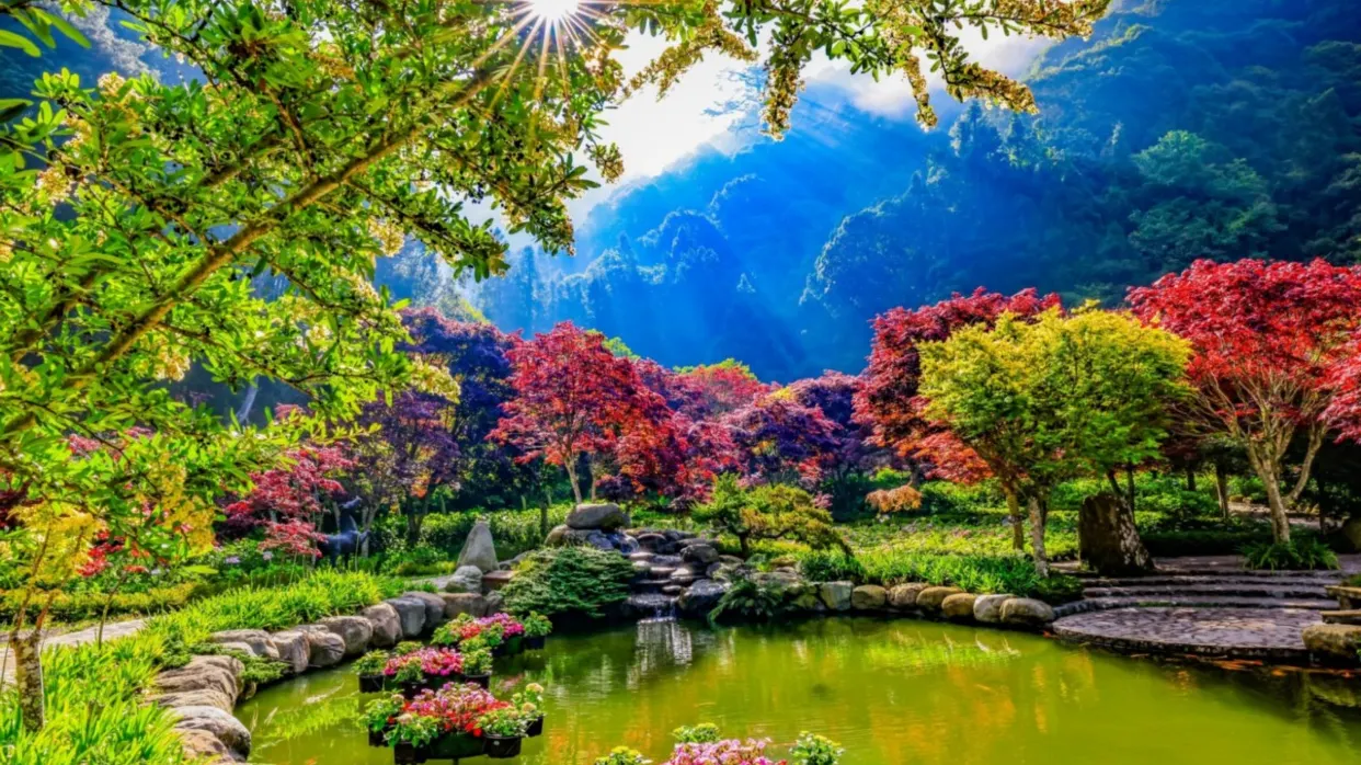 杉林溪