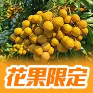 廣東省主題2