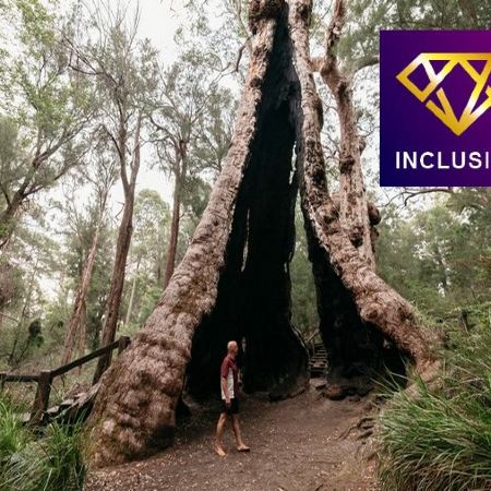 【大自然深度遊】西澳西南部9天沉浸式純「氧」體驗  -《千與千尋》靈感之源~巴修爾頓木棧道碼頭、曼哲拉海鮮遊船、波浪岩、乘坐或自駕高爾夫球車（尋找野生袋鼠）、尖峰石陣、巨人谷樹頂步道