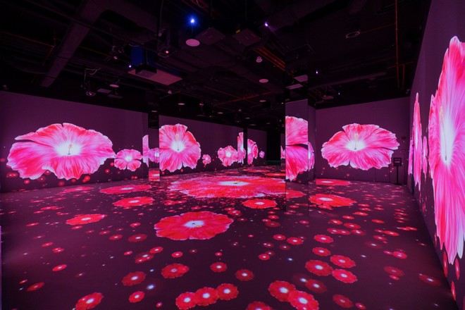 Immersify Kuala Lumpur~沉浸式體驗