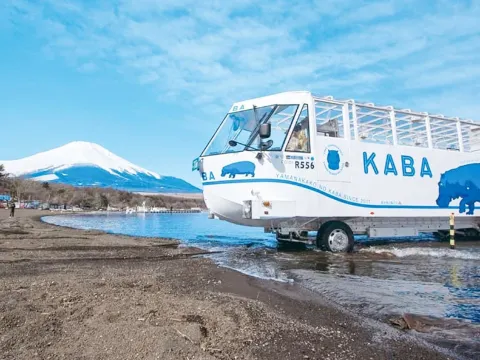 山中湖河馬水陸兩用巴士