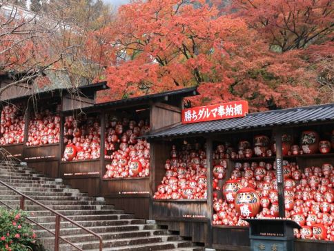 大阪、京都、奈良、和歌山 美景玩樂5天之旅【尊享香港航空貴賓室】全程膳食包足12餐,和式地道美食。賞紅葉名所(京都「世界文化遺產」金閣寺、「日本百大名城」和歌山城、紅葉溪庭園 大阪、京都、奈良、和歌山 美景玩樂5天之旅【尊享香港航空貴賓室】全程膳食包足12餐,和式地道美食。賞紅葉名所(京都「世界文化遺產」金閣寺、「日本百大名城」和歌山城、紅葉溪庭園