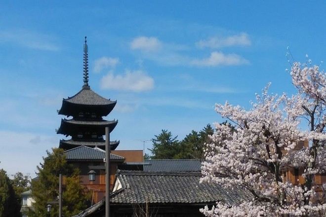 奈良興福寺