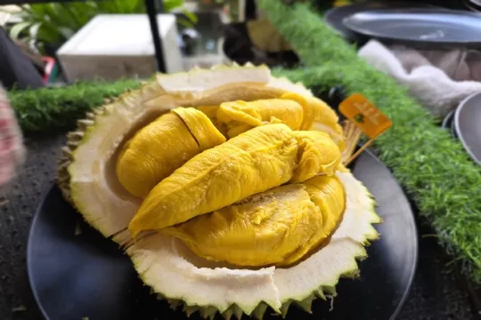 品嚐各種名貴榴槤任食