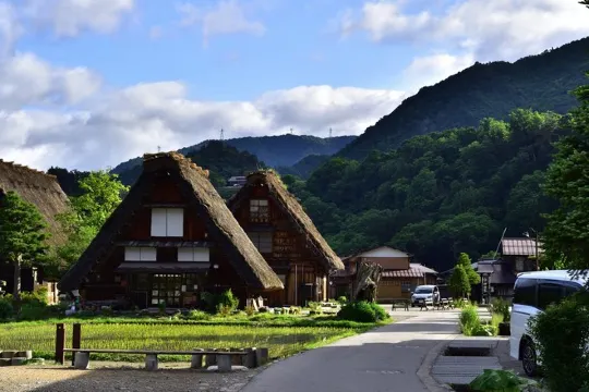 日本 白川鄉 (夏天)