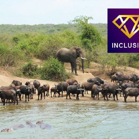 津巴布韋、博茨瓦納6天深度體驗之旅/ 乘坐直昇機漫遊世界三大瀑布中最深、最壯觀之一的維多利亞大瀑布/遊覽非洲南部第一大河～贊比西河/入高比野生動物保護區，追蹤及近距離觀看野生動物【優遊全包】
