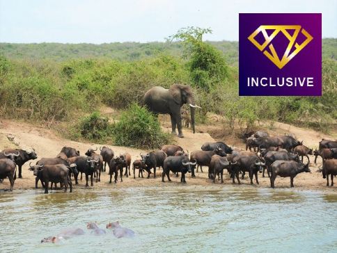 津巴布韋、博茨瓦納6天深度體驗之旅/ 乘坐直昇機漫遊世界三大瀑布中最深、最壯觀之一的維多利亞大瀑布/遊覽非洲南部第一大河～贊比西河/入高比野生動物保護區，追蹤及近距離觀看野生動物【優遊全包】
