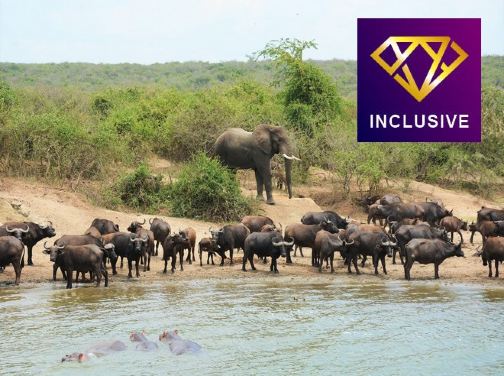 津巴布韋、博茨瓦納7天深度體驗之旅/ 乘坐直昇機漫遊世界三大瀑布中最深、最壯觀之一的維多利亞大瀑布/遊覽非洲南部第一大河~贊比西河/入高比野生動物保護區,追蹤及近距離觀看野生動物【優遊全包】
津巴布韋、博茨瓦納7天深度體驗之旅/ 乘坐直昇機漫遊世界三大瀑布中最深、最壯觀之一的維多利亞大瀑布/遊覽非洲南部第一大河~贊比西河/入高比野生動物保護區,追蹤及近距離觀看野生動物【優遊全包】