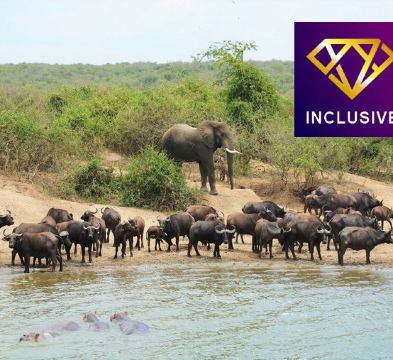 津巴布韋、博茨瓦納6天深度體驗之旅/ 乘坐直昇機漫遊世界三大瀑布中最深、最壯觀之一的維多利亞大瀑布/遊覽非洲南部第一大河～贊比西河/入高比野生動物保護區，追蹤及近距離觀看野生動物【優遊全包】
