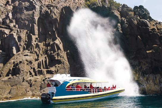 布尼島自然風景及海上生態遊
