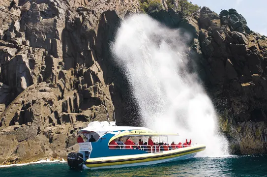 布尼島自然風景及海上生態遊