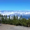 東京 半自由行5天之旅  「人生必去」富士山五合目、「名水百選」忍野八海、「昭和風情」柴又帝釋天參道、Lalaport 購物城、2天自由活動