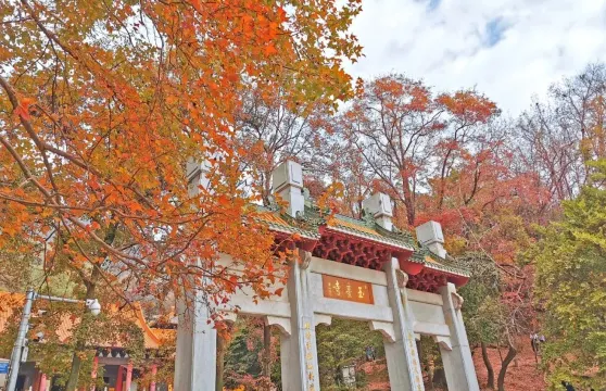 圭峰山國家森林公園楓葉