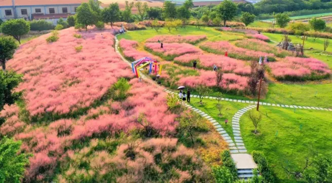 翰林湖農業公園