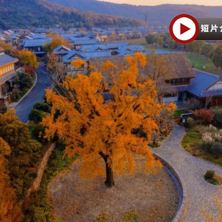 【3鑽】品蟹🦀賞秋🍁 6天團【尊享蘇州+杭州四季酒店】南京(中山植物園賞烏桕、金陵最美梧桐大道)、無錫(拈花灣賞紅葉、銀杏)、蘇州(天平山)、杭州(西湖)、揚州(大明寺賞銀杏、瘦西湖秋色) 