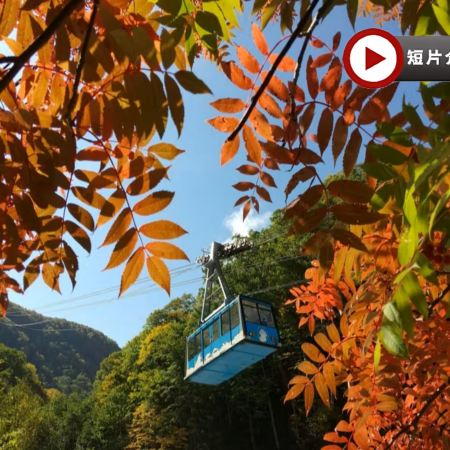 北海道~道東 秋色探索7天名湯之旅 全日本最早紅葉~黑岳重本包乘空中纜車/北の森冰之世界、能取湖紅色珊瑚草/天都山展望台、十勝牧場の家~牧羊犬綿羊Show、北見狐狸村、3晚溫泉酒店