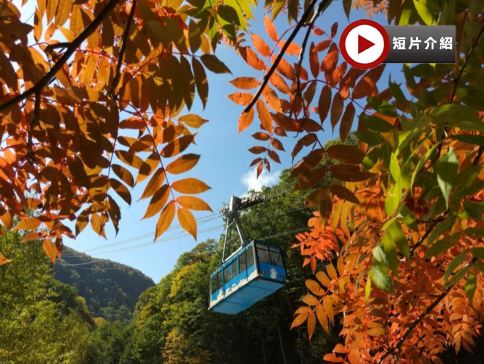 北海道~道東 秋色探索7天名湯之旅 全日本最早紅葉~黑岳重本包乘空中纜車/天都山流冰館、能取湖紅色珊瑚草/天都山展望台、十勝牧場の家~牧羊犬綿羊Show、北見狐狸村、3晚溫泉酒店