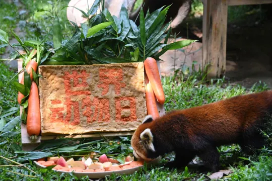 深圳野生動物世界