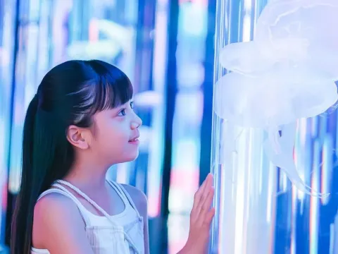 DMM Kariyushi水族館