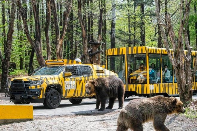 愛寶樂園Everland