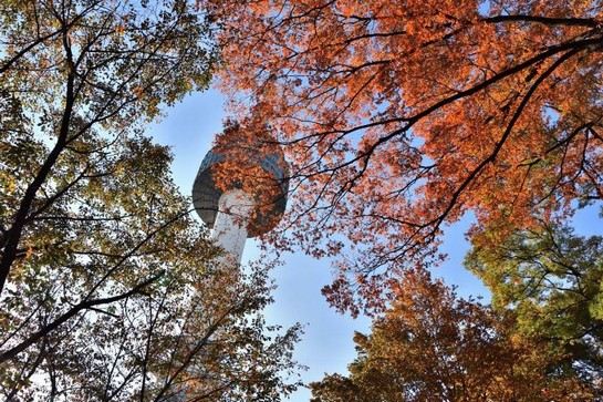 N首爾塔公園