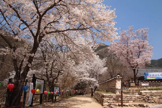 周王山國立公園+大典寺