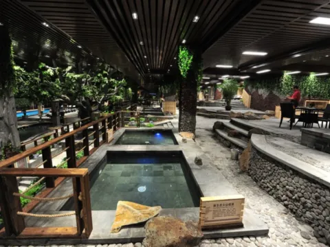 長白山王朝聖地溫泉酒店-室內溫泉