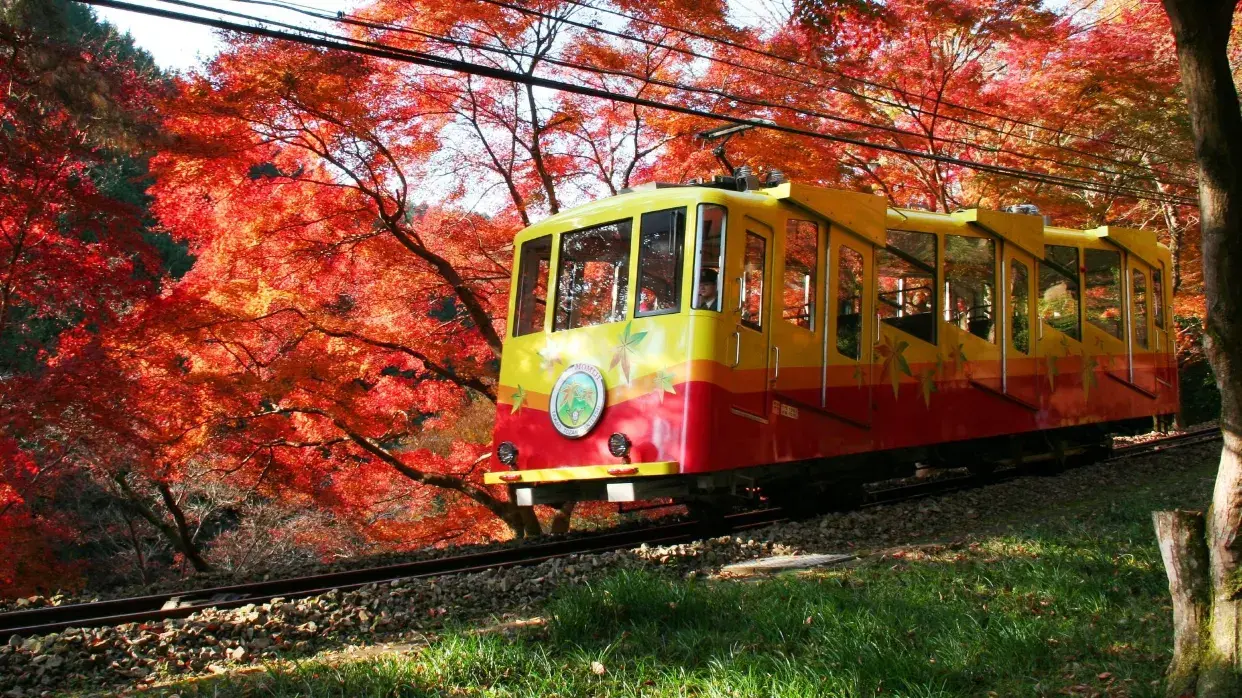 「賞紅葉名所」高尾山
(11月10日至12月12日出發適用)
